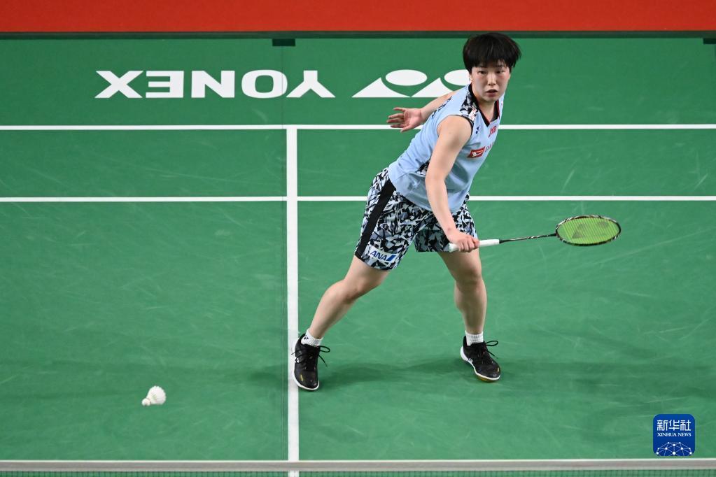 本届全运会 本届全运会